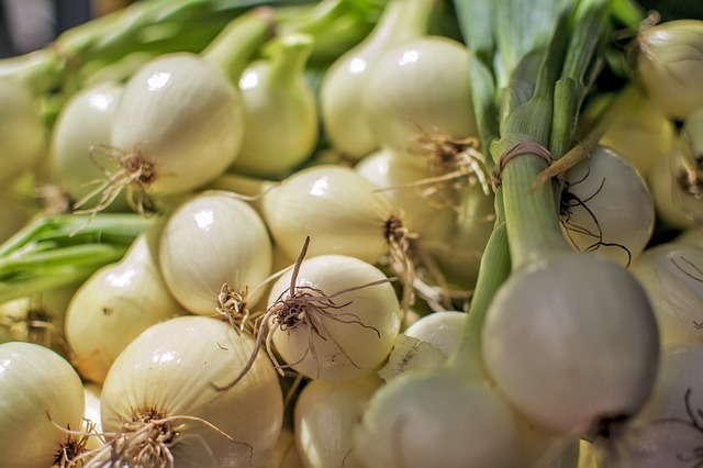 onion growers uganda