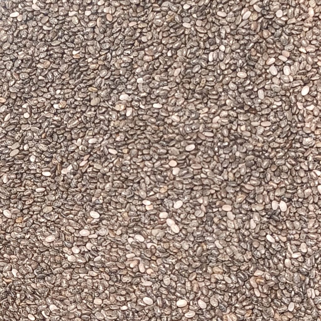 Chia seeds in close-up