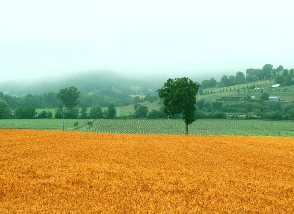 Farmland and woodland under a ridge of hills